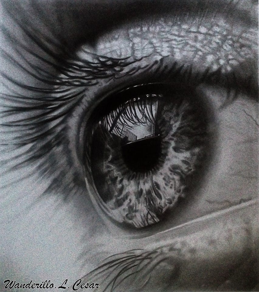 Desenho realista feito à mão — Wanderillo Cesar Curso Virtual Realismo para Iniciantes #dr112 | Desenhos Realistas