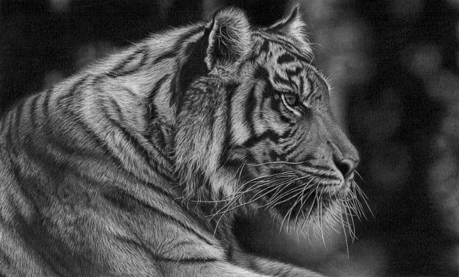 Desenho realista feito à mão — Desenho de Aniela Darienzo (Curso Virtual) #dr25 | Desenhos Realistas