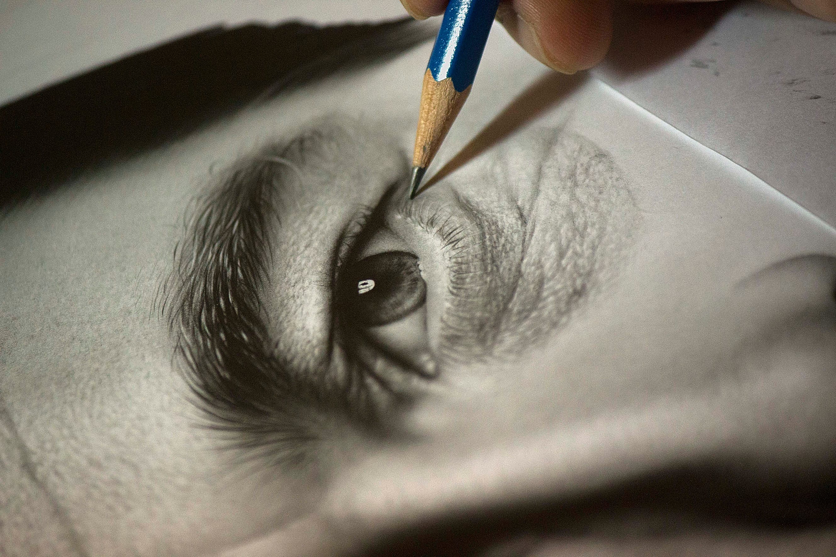 Desenho realista feito à mão — Desenho de Samuel Torres - Em andamento... #dr267 | Desenhos Realistas