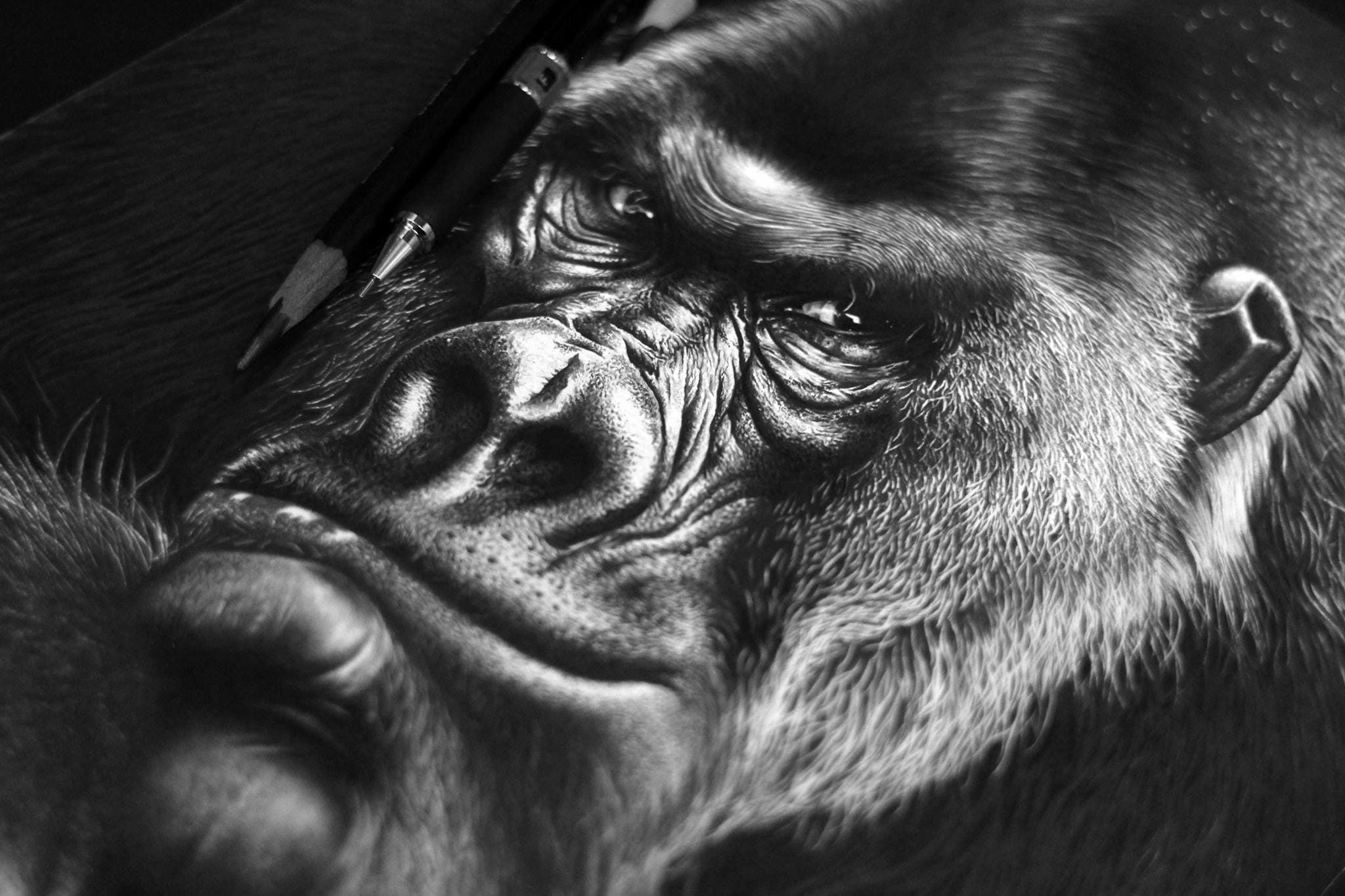 Desenho realista feito à mão — Charles Laveso #dr328 | Desenhos Realistas