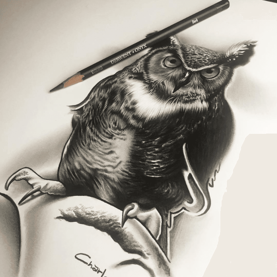 Desenho realista feito à mão — Charles Laveso #dr334 | Desenhos Realistas