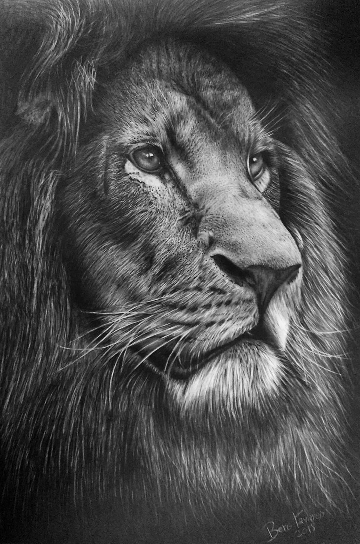 Desenho realista feito à mão — Berg Tavares #dr445 | Desenhos Realistas