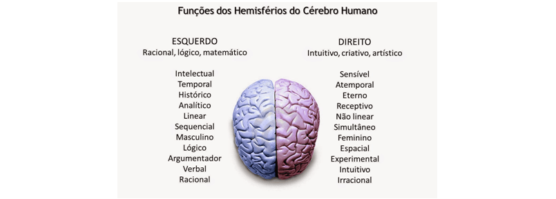 Diagrama do cérebro mostrando hemisfério esquerdo e direito