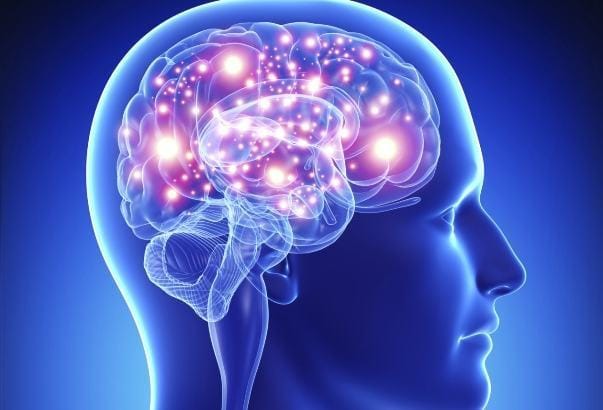 dieta mind emagrece e faz bem para o cerebro 3