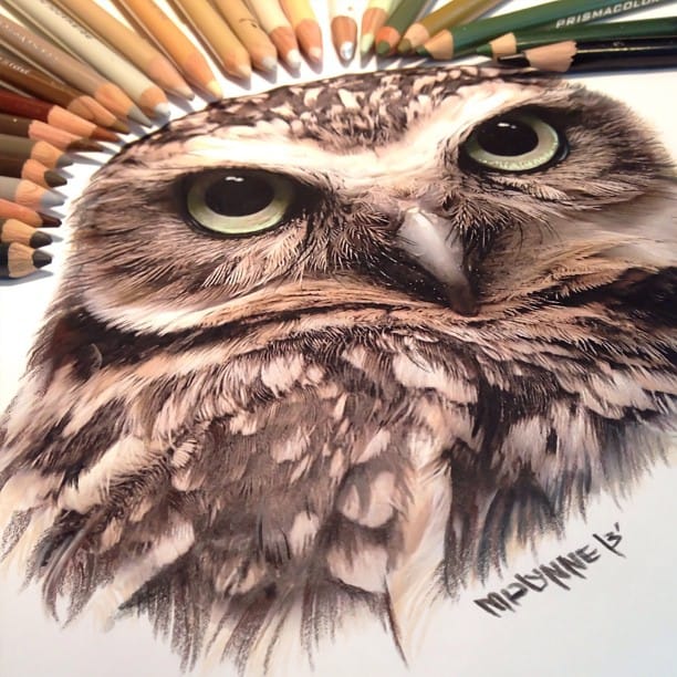Combinação de técnicas em desenho realista de animais